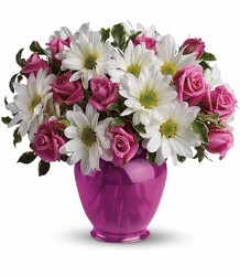 Teleflora's Pink Daisy Delight - Spray Roses & Daisies from Olney's Flowers of Rome in Rome, NY